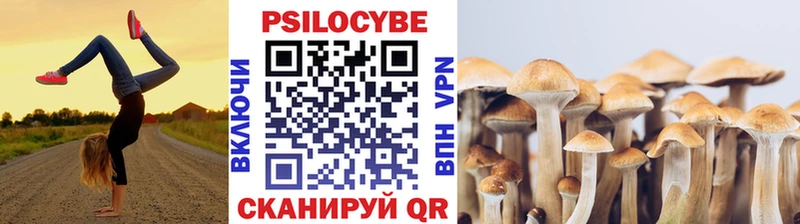 сколько стоит  Нижнекамск  Псилоцибиновые грибы Cubensis 
